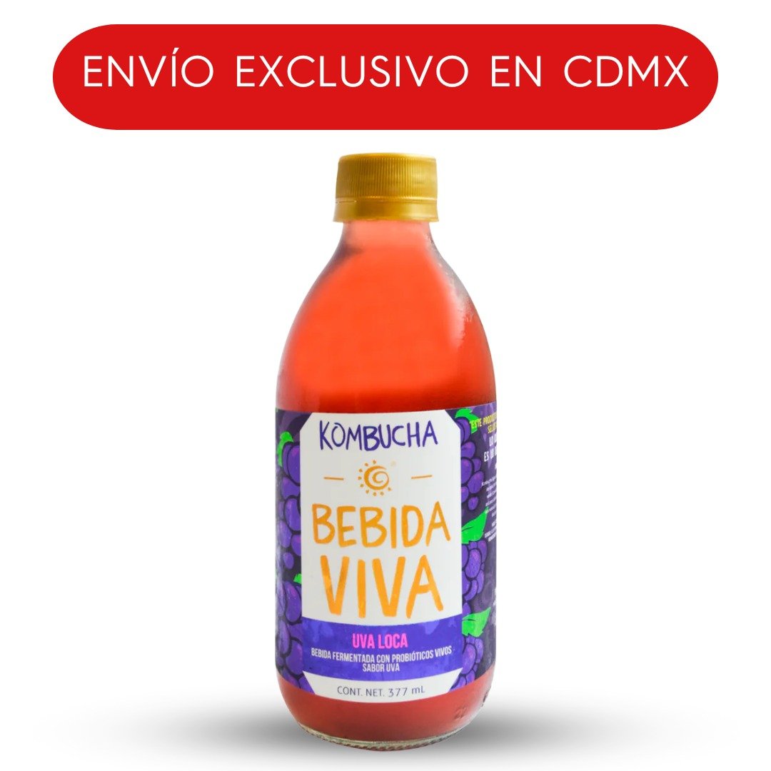HOLY KOMBUCHA GUAYABA 377 ML