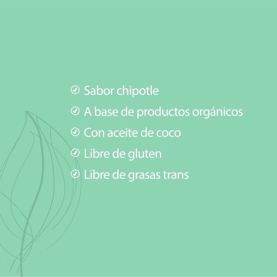 HOLICHURROS CHIPOTLE 80 GR HOLIBLEND
