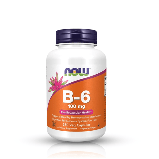 B-6 100 MG 250 CAPS NOW