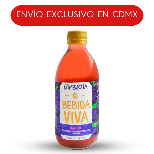 HOLY KOMBUCHA GUAYABA 377 ML