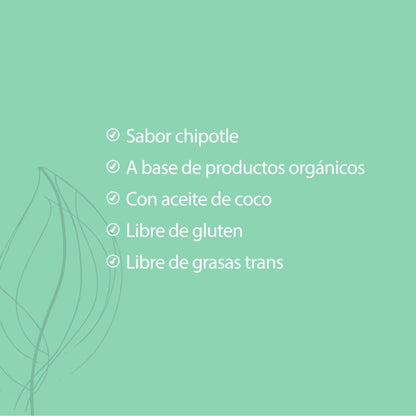 HOLICHURROS CHIPOTLE 80 GR HOLIBLEND